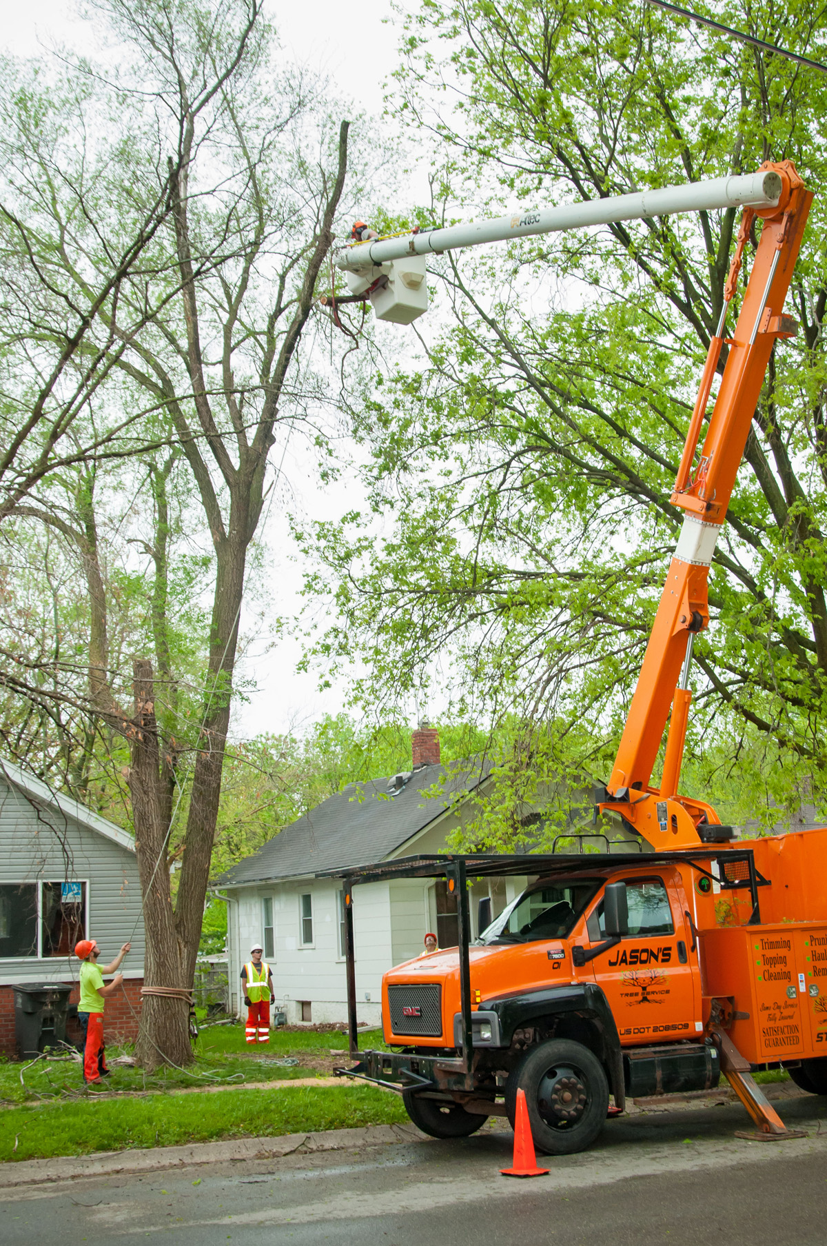 Jason's Tree Service Des Moines | Tree Services Including Trimming and ...