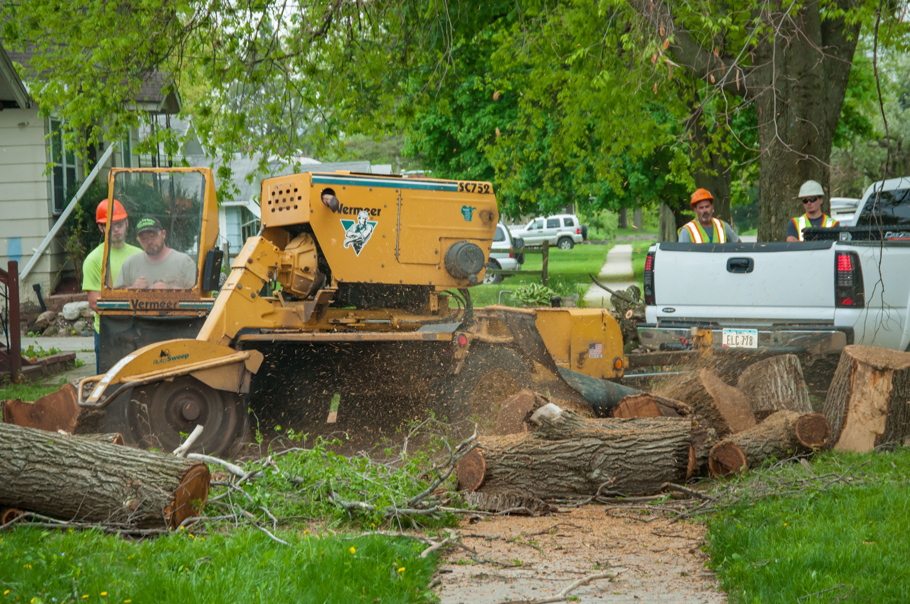 Jason's Tree Service Des Moines | Tree Services Including Trimming and