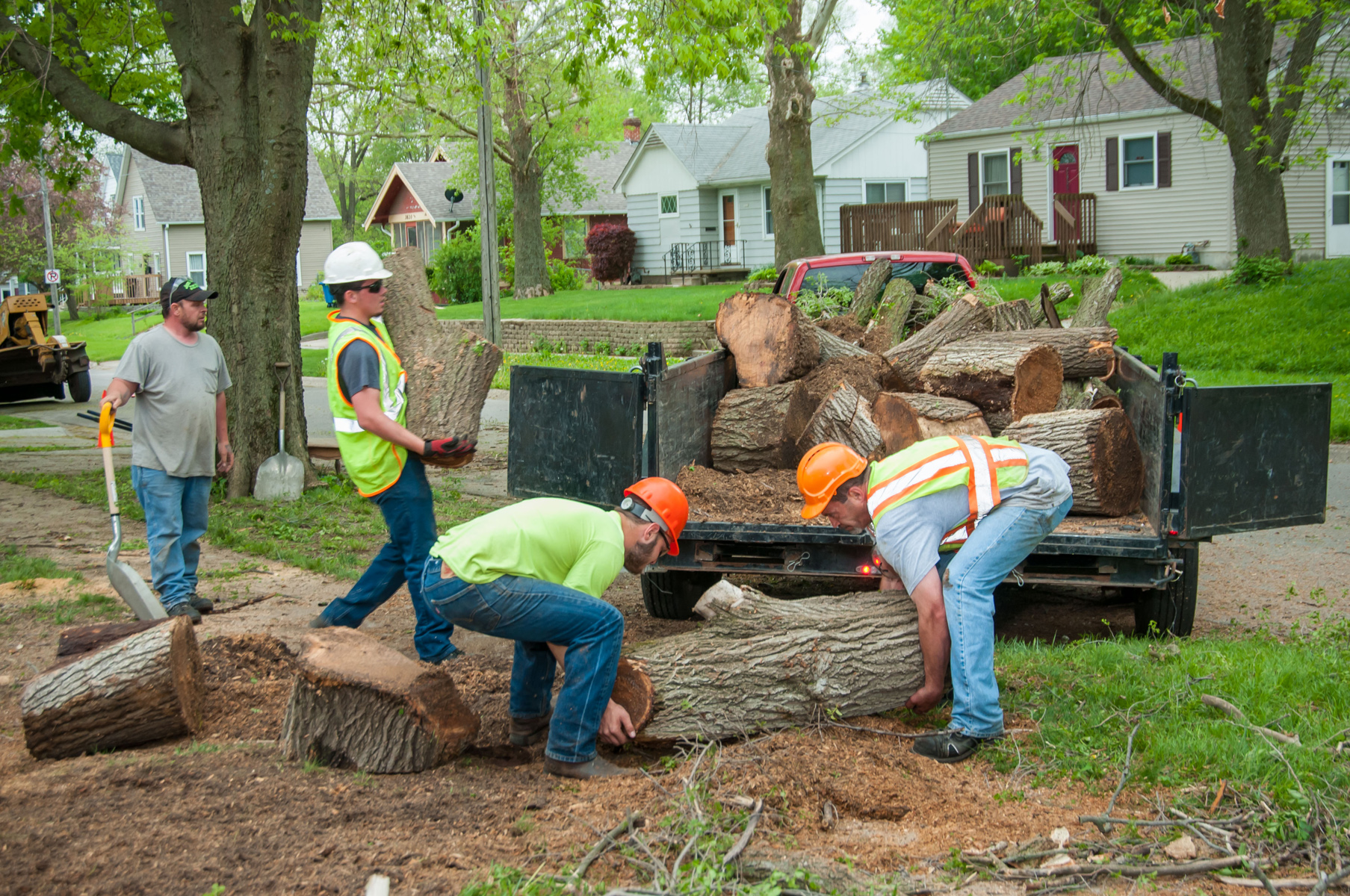 Jason's Tree Service Des Moines | Tree Services Including Trimming and ...